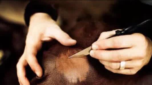 皮草怎么保养 皮草怎么保养?