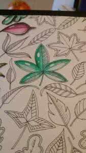 秘密花园怎么涂好看 秘密花园怎么涂