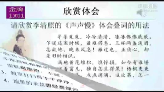 初中语文公开课视频 初中语文1对1微视频公开课13