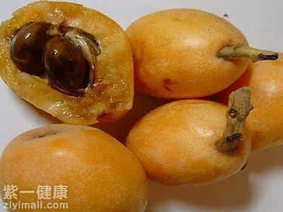 浙贝母可以熬枇杷膏吗 浙贝母枇杷功效有哪些 多少钱