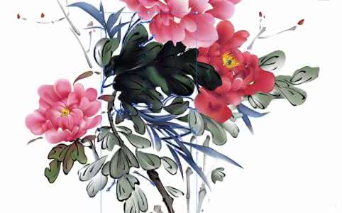 国画牡丹花 牡丹国画 如何画国画，牡丹花
