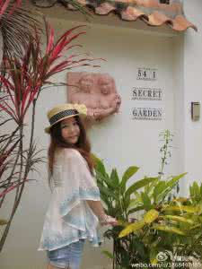 女人的秘密1 电视剧 好女人的秘密花园