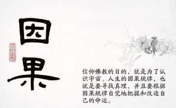 因果12条 我条条信了 因果12条（我条条信了）！