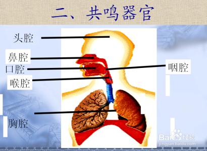 播音主持职业生涯规划 播音主持职业生涯规划 李倩蓉的资料介绍 李倩蓉的主持生涯介绍