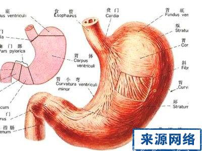 幽门螺杆菌相关性胃炎 中医辨证治疗幽门螺杆菌感染相关性胃炎