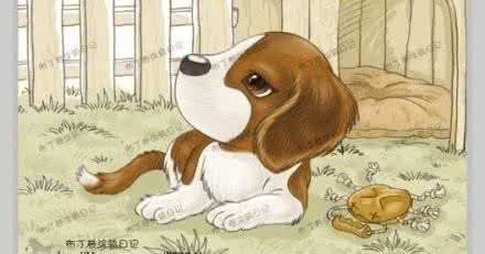 你是狗狗的一辈子图片 狗狗的一辈子