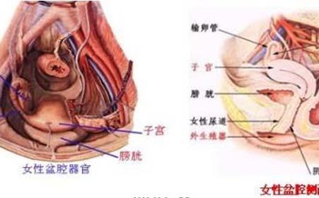 盆腔炎的最佳治疗方法 盆腔感染 五大方法治盆腔感染