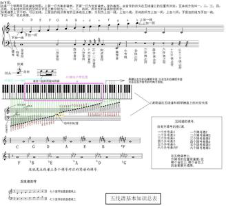 五线谱基础教程 曲谱怎么看 五线谱基础教程,五线谱怎么看