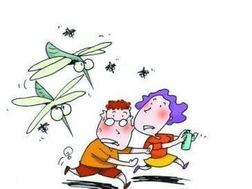 秋有蚊虫冬有雪 如何应对秋蚊