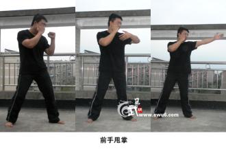 从天而降的掌法 连载75：掌法攻击——甩掌