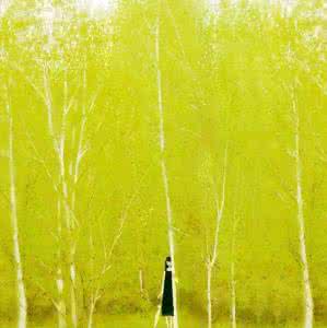 原创诗歌 【原】白杨树的眼睛(原创诗歌)