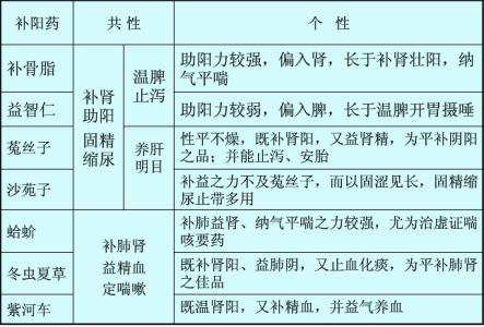 生脉散和玉屏风区别 羊红膻 论羊红膻和生脉的区别