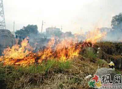 梦见坟墓着火 梦见坟墓着火 梦见坟墓