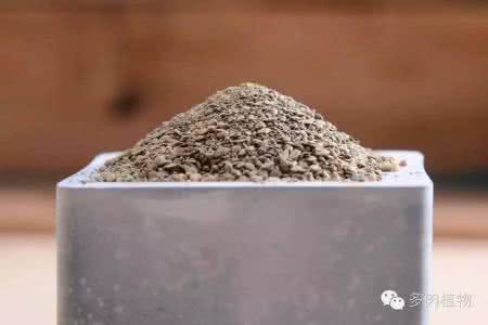 多肉颗粒土 夏至,给多肉点颗粒试试~