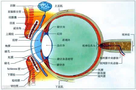 白内障是如何形成的 白內障是如何形成的？