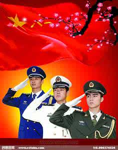 陆军提督的下海征途 海陆军指的是什么？