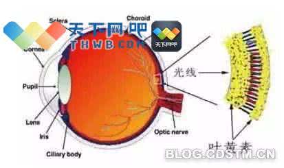 眼睛受伤视力下降 关灯看手机最伤眼,恢复视力的三大奇穴!立马见效