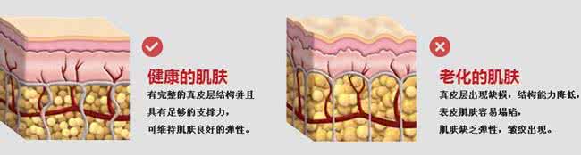 双美胶原蛋白 双美胶原蛋白 出生在这六大农历日子的人，这辈子财官双美有钱花