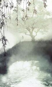 诗风雅韵 人间五十年表达的情感 诗风雅韵，人间至美情感，物是人非