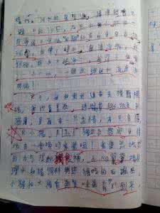 端午节作文350字 石头缘作文350字