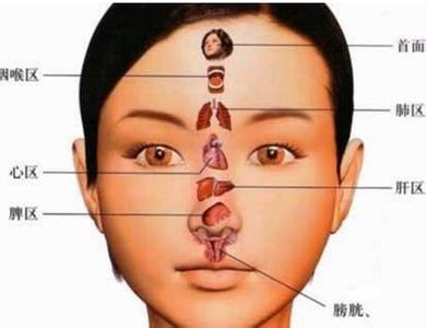 脸上痘对应五脏示意图 脸上痘对应五脏示意图 脸上这6个信号隐藏五脏的健康问题，你一定不要忽视！