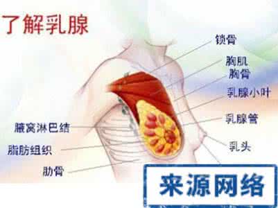 乳腺增生是不是乳腺癌 乳腺增生并不是乳腺癌前期