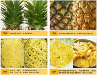 凤梨要用盐水泡吗 凤梨和菠萝的区别