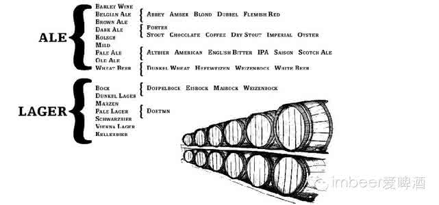 简述啤酒发酵的机理 啤酒基础（二）—啤酒分类简述