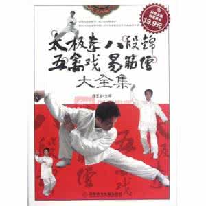 太极拳教程视频大全集 【视频】太极拳《大全集》系列2