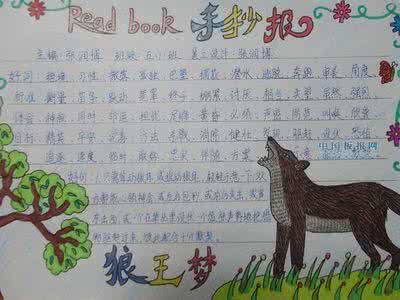 狼王梦的读后感400字 关于狼王梦的读后感800字