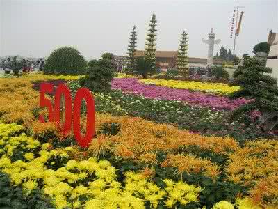 开封菊花节 念奴娇——开封菊花节