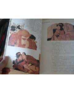 世界性史图鉴 pdf 《世界性史图鉴》(彩图版)