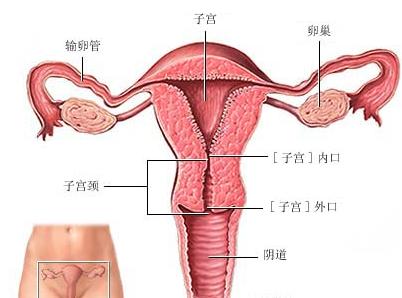 囊肿是什么原因引起的 囊肿产生原因是什么啊？