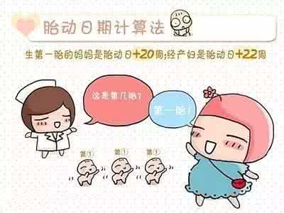 精准扶贫小知识 孕期小知识，预产期怎么算最准