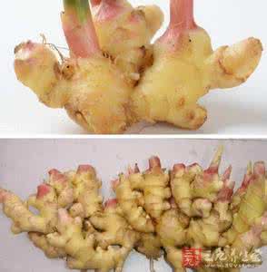 吃生姜的禁忌 吃生姜的5大禁忌