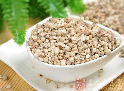 红豆薏米不适合人群 薏米的功效 三类人群食用薏米需谨慎