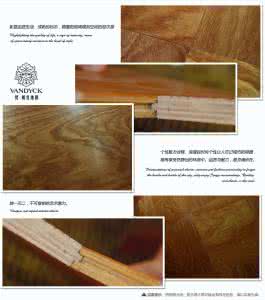 梵戴克地板是几线品牌 梵戴克地板 分析梵戴克地板的品牌怎么样