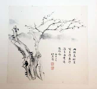 历代荷花诗名句赏析 历代文人写荷的诗词 莲美人 (历代文人咏荷花)