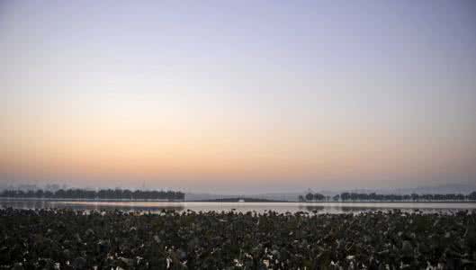 顺其自然的爱情 放下爱恨,一切顺其自然