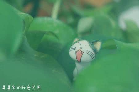 混沌与秩序2花园种子 混沌与秩序2花园种子 “混沌”包容着一切美的种子。 ▍庄子的美学精神