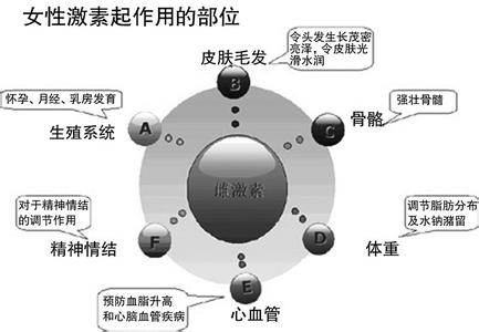 低脂肪膳食应适度补充 补充雌激素 女性更年期之后应适度补充雌激素-雌激素是什么？