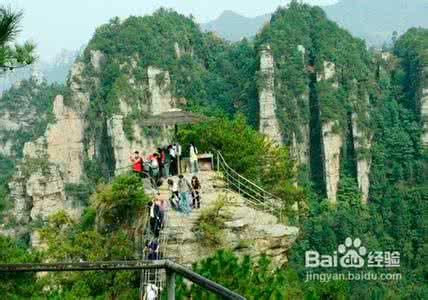 塞罕坝旅游攻略 塞罕坝旅游攻略小贴士 张家界旅游攻略 旅游小贴士