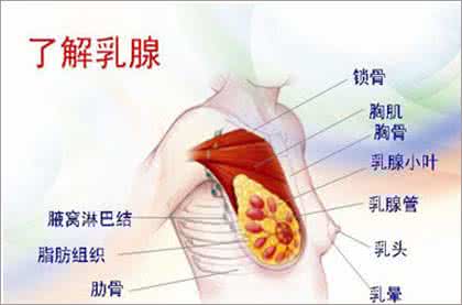 乳腺增生的治疗方法 乳腺增生治疗方法 治乳腺增生方法多样化