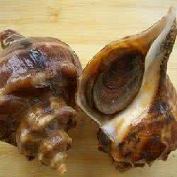 御食园和红螺哪个好 红螺