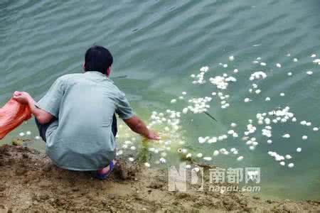 养鱼要从喂鱼先开始学习