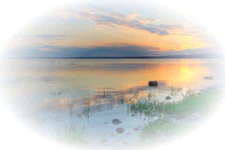 男女对唱我的思念 对你的思念流成河