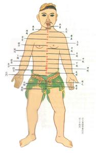 任脉 任脉 任脉
