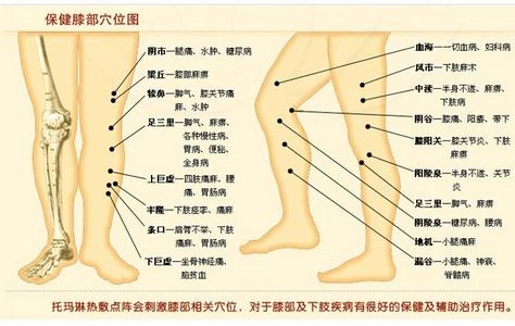 佳人重劝千长寿 劝朋友常按摩防病健身的几个长寿穴位