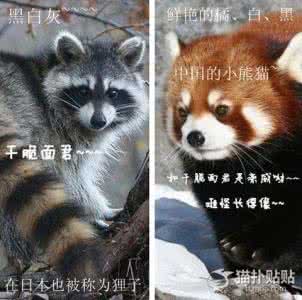 在什么道路上越走越远 为什麼猫都叫不来 有些人為什麼越走越遠?