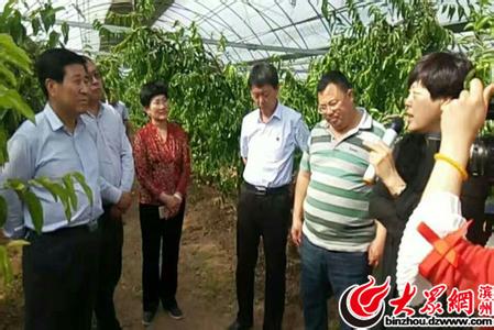 沾化县新房 沾化县人力资源和社会保障网 2013年沾化县事业单位招聘140人 71_沾化县人力资源和社会保障局